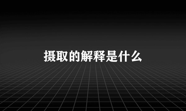 摄取的解释是什么