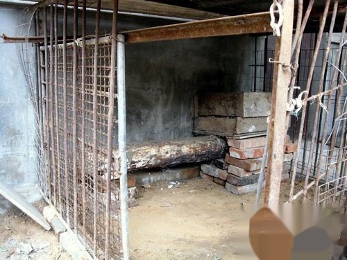 怎样搭建鸡窝