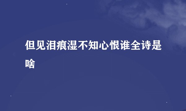 但见泪痕湿不知心恨谁全诗是啥