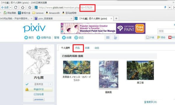 p站的作品id要怎么用?