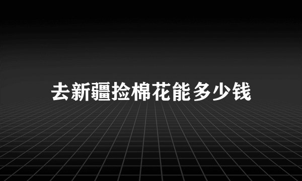 去新疆捡棉花能多少钱
