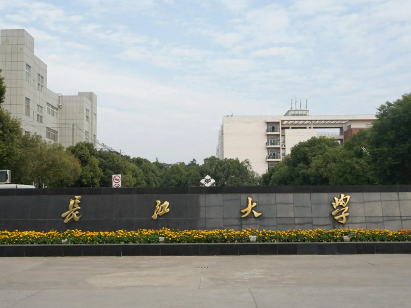 有专科的本科大学有哪些
