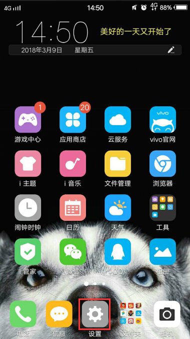 vivos1怎么设置人脸识别？