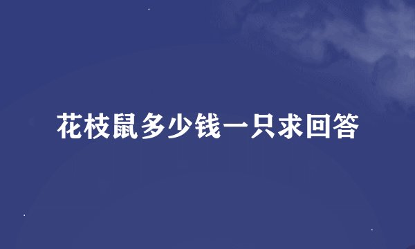 花枝鼠多少钱一只求回答