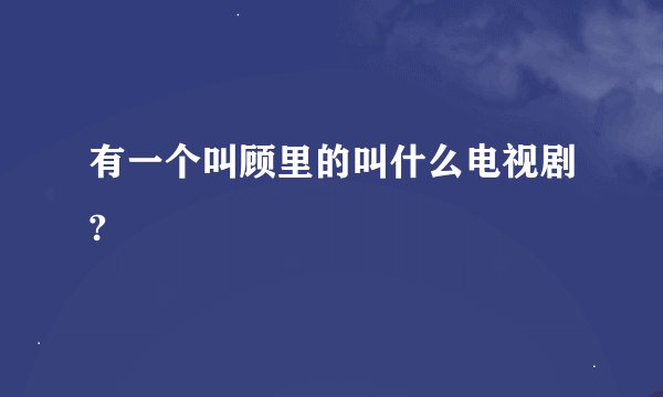 有一个叫顾里的叫什么电视剧?
