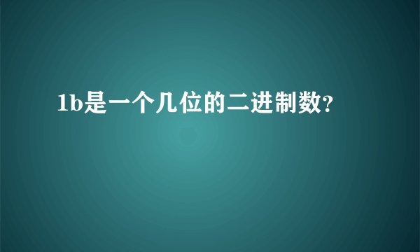1b是一个几位的二进制数？