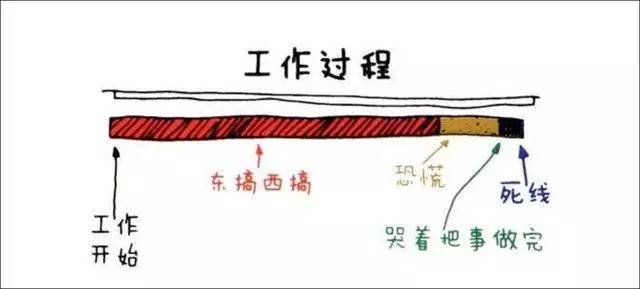 知识和技能包括哪些方面