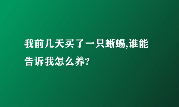 我前几天买了一只蜥蜴,谁能告诉我怎么养?