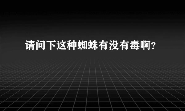 请问下这种蜘蛛有没有毒啊？