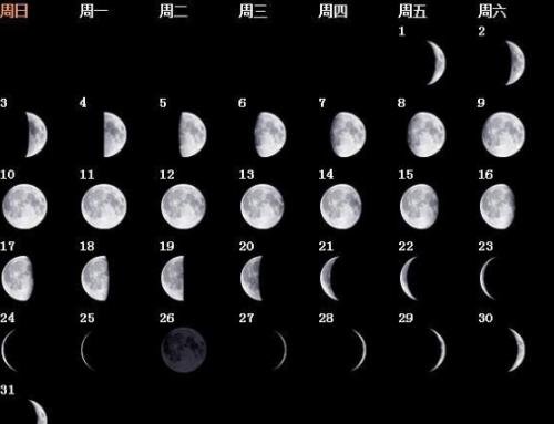 阳历是快的还是慢的