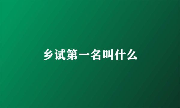 乡试第一名叫什么