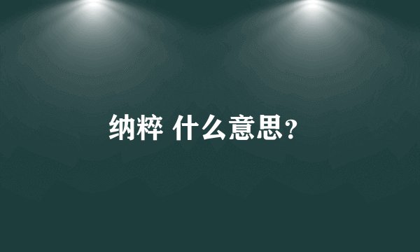 纳粹 什么意思？