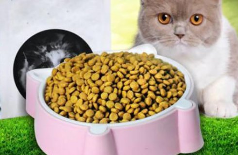 玫斯猫粮怎么样?可以购买么?