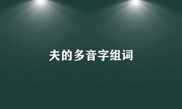 夫的多音字组词