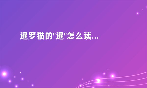暹罗猫的