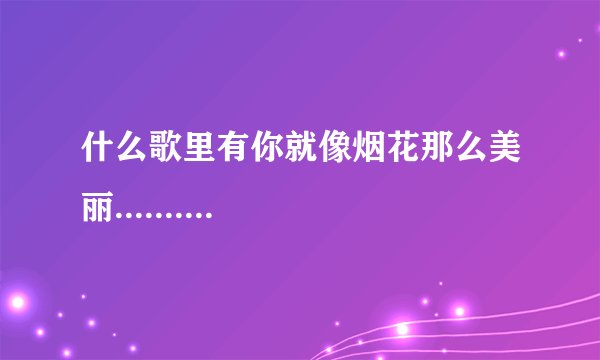 什么歌里有你就像烟花那么美丽..........