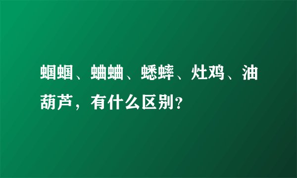 蝈蝈、蛐蛐、蟋蟀、灶鸡、油葫芦，有什么区别？
