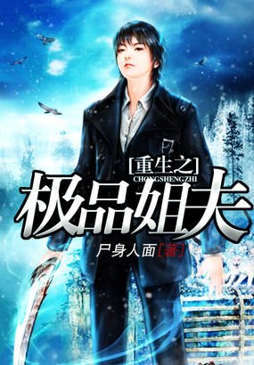 重生之完美姐夫的介绍