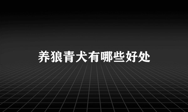 养狼青犬有哪些好处