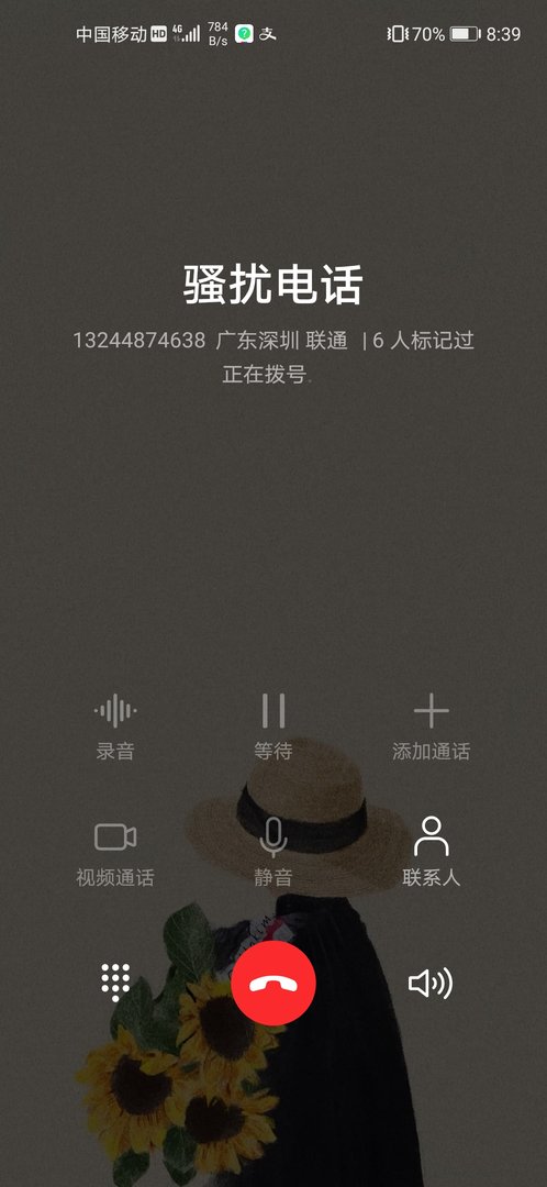 13244874638什么电话？