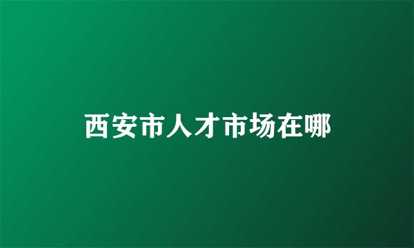 西安市人才市场在哪