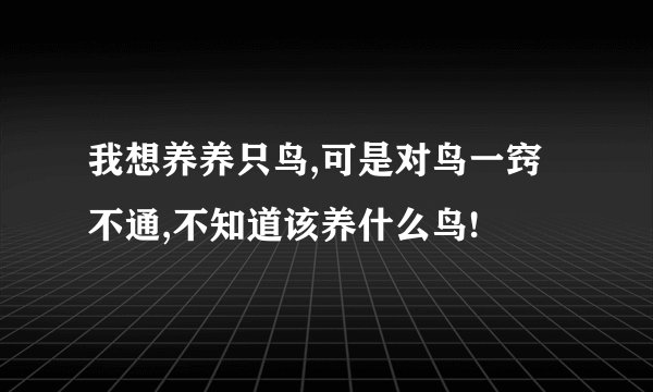 我想养养只鸟,可是对鸟一窍不通,不知道该养什么鸟!