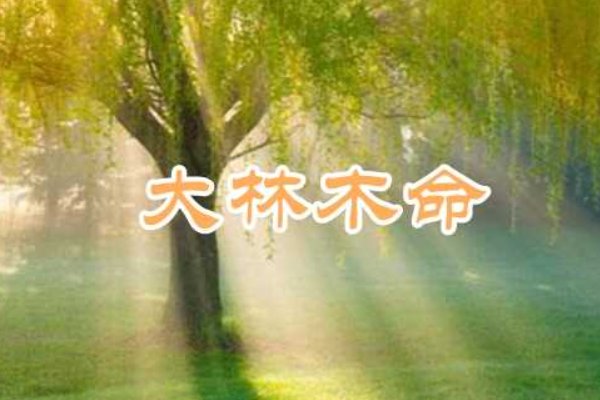 哪一年是属木命人