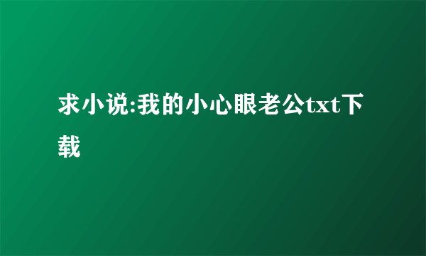 求小说:我的小心眼老公txt下载