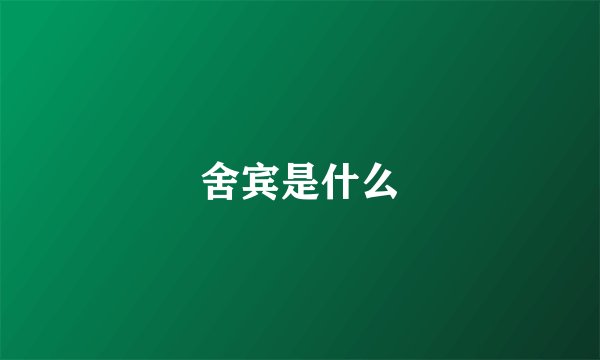 舍宾是什么