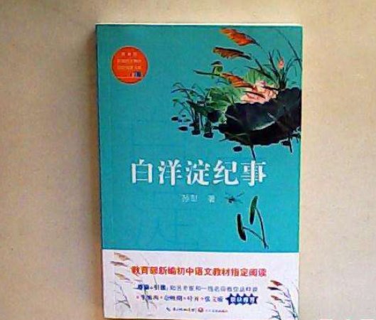 白洋淀纪事第一章概括