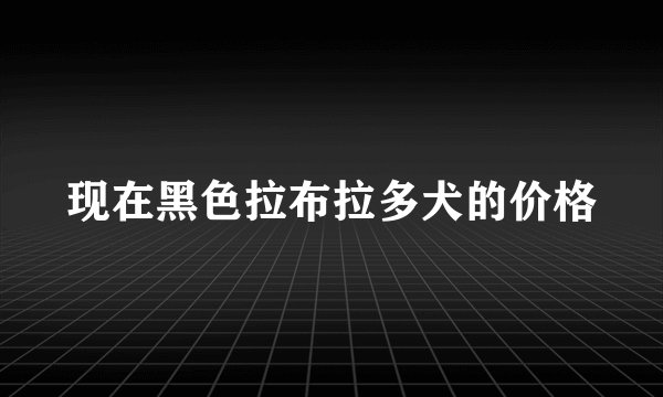 现在黑色拉布拉多犬的价格
