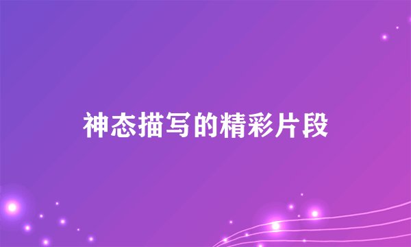 神态描写的精彩片段