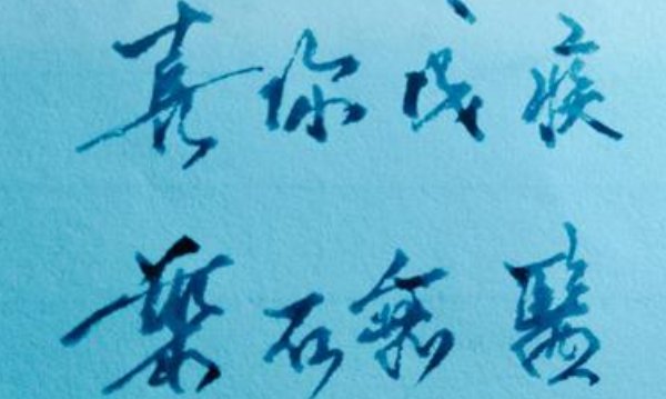 赞美一个人才华的句子