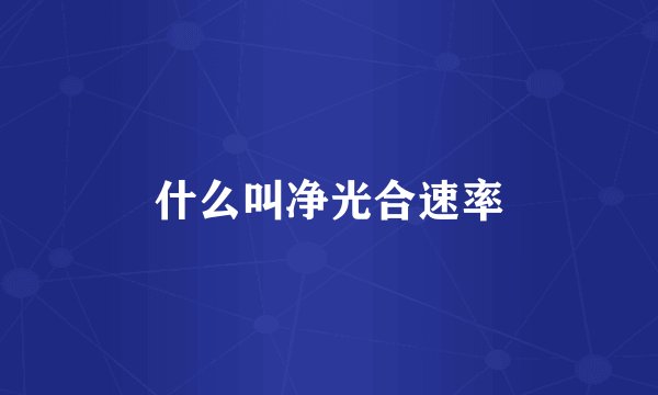 什么叫净光合速率