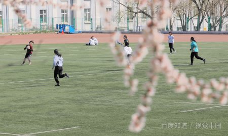 哈尔滨工程大学是211院校吗?