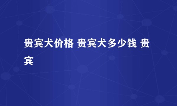 贵宾犬价格 贵宾犬多少钱 贵宾