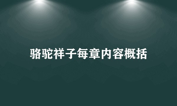 骆驼祥子每章内容概括