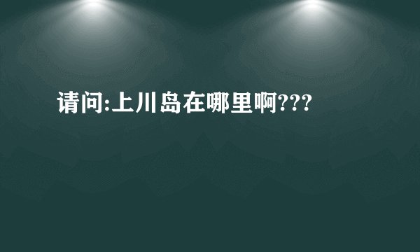请问:上川岛在哪里啊???