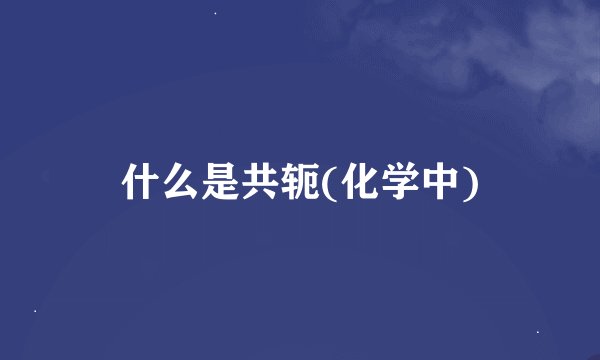什么是共轭(化学中)