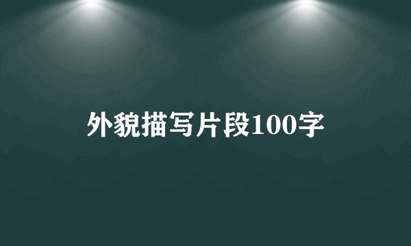 外貌描写片段100字