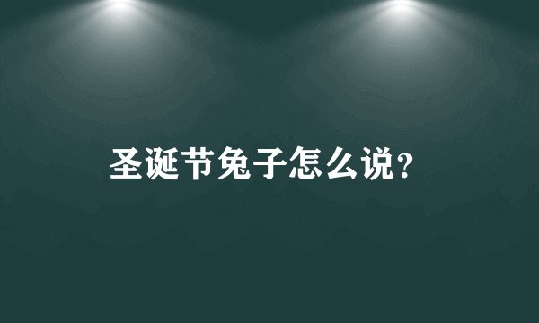 圣诞节兔子怎么说？