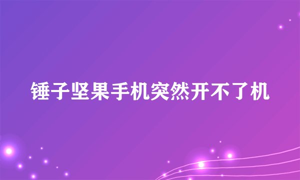 锤子坚果手机突然开不了机