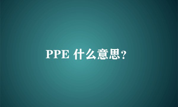 PPE 什么意思？