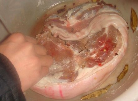10斤肉放多少盐最好?