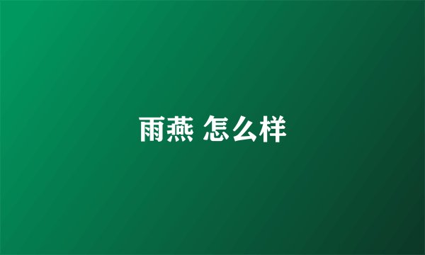 雨燕 怎么样