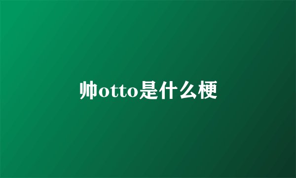 帅otto是什么梗