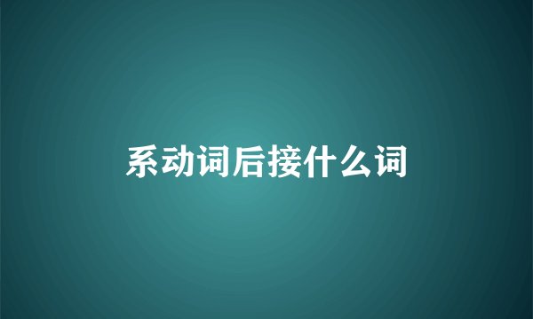 系动词后接什么词
