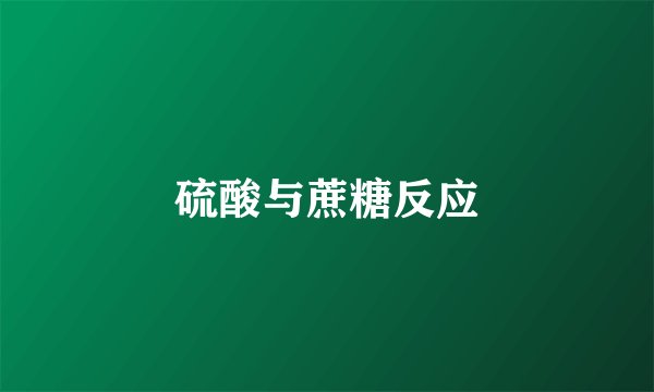 硫酸与蔗糖反应