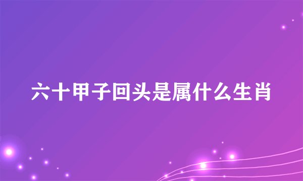 六十甲子回头是属什么生肖