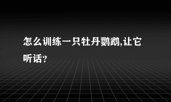 怎么训练一只牡丹鹦鹉,让它听话？